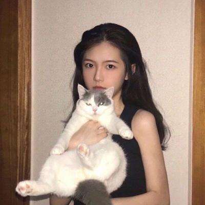 水果的故事2内购破解版下载